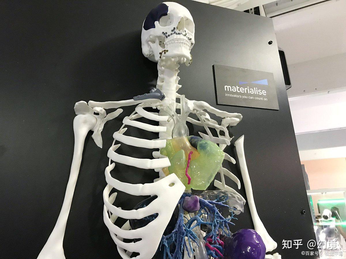 人体解剖虚拟仿真系统:传统学科注入新活力,虚拟解剖渐成趋势 - 知乎