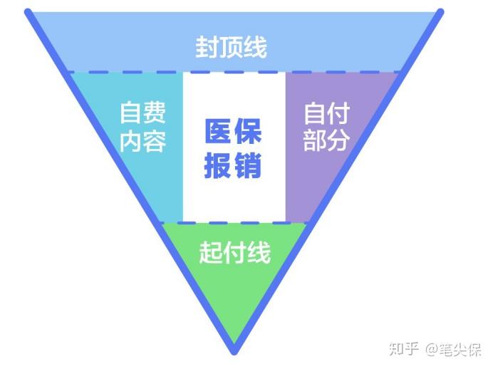 v2-d2f77027c6b63d354e973a91c134777e_r.jpg