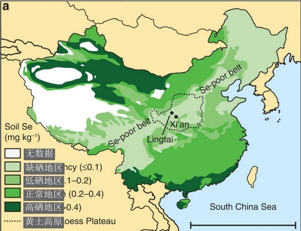 漫谈硒的作用与儿童补硒 - 知乎