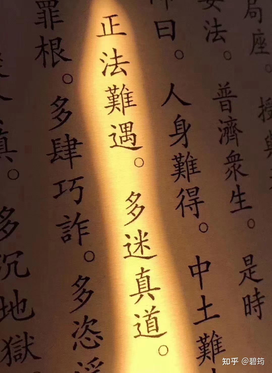 如法而行 - 知乎