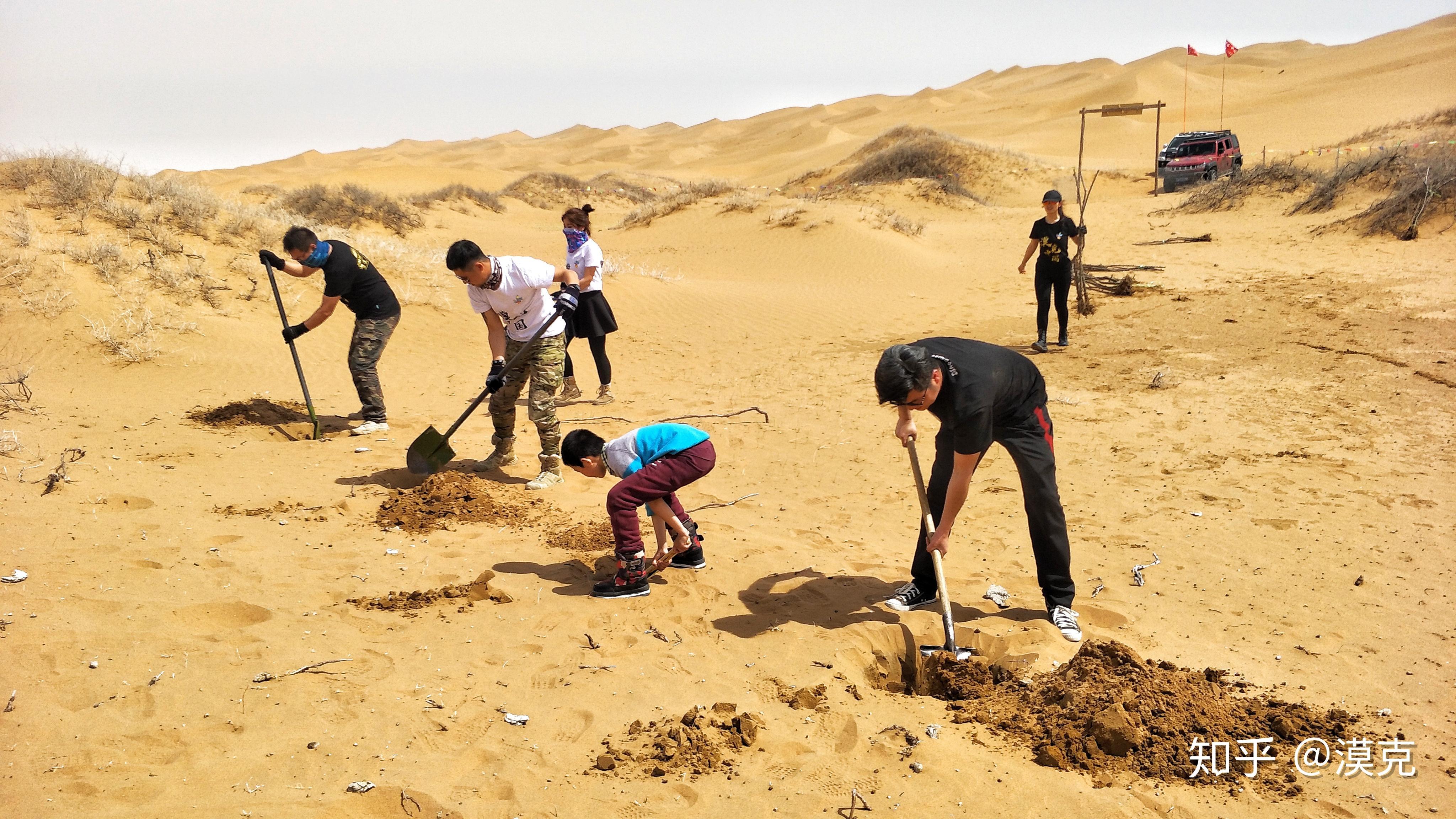 中国西北土壤荒漠化目前都采用了哪些治理措施？ - 知乎