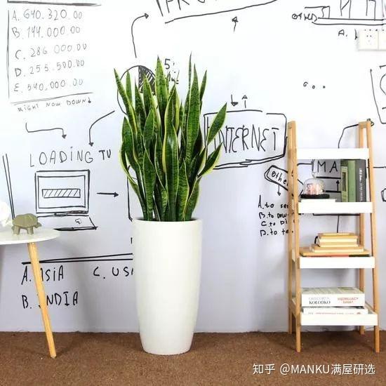 满屋研选 | 家里沉闷缺少生气?你家还缺少一盆绿植! - 知乎