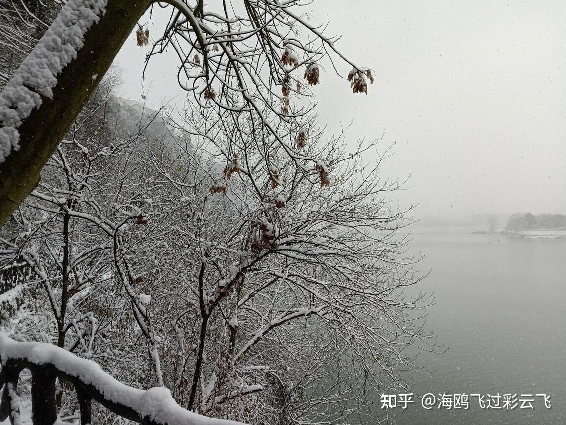 《江雪》 [唐] 柳宗元 千山鸟飞绝，万径人踪灭。 孤舟蓑笠翁，独钓寒江雪。 - 知乎