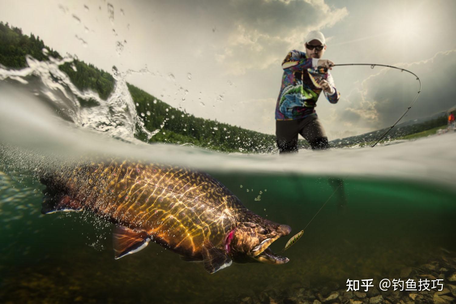 黑坑钓鱼为什么蹭线为什么锚鱼为什么跑鱼为啥钓不到鱼