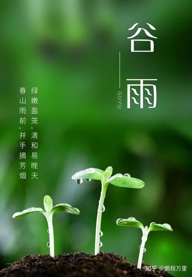 今年的谷雨时间是2021年4月20日,星期二农历辛丑年 三月初九.