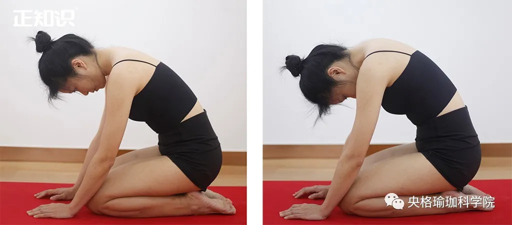 猫式练习时,该吸气还是呼气?