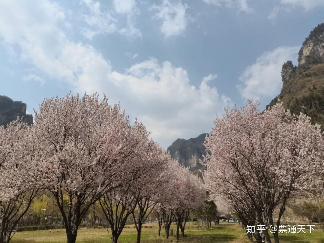 蟒河生态旅游区门票图片