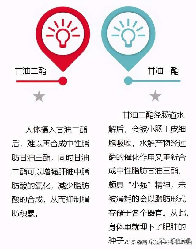 怎样吃饺子不增肥你需要配上南山康脂甘油二酯油