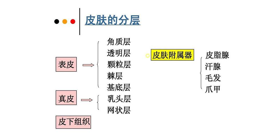 v2-d357bf8b081d64d5414a1ff2201859c1_r.jpg