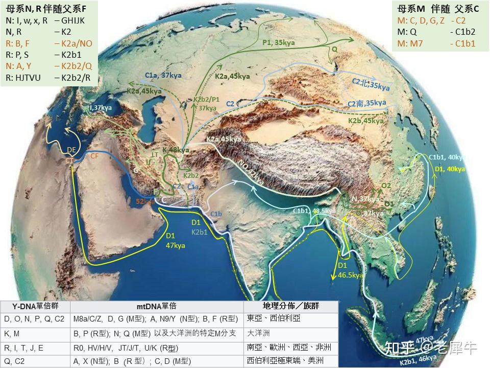 末次冰期人類遷徙猜想暨中國人的來源9尾聲1萬年前的東亞父系和母系