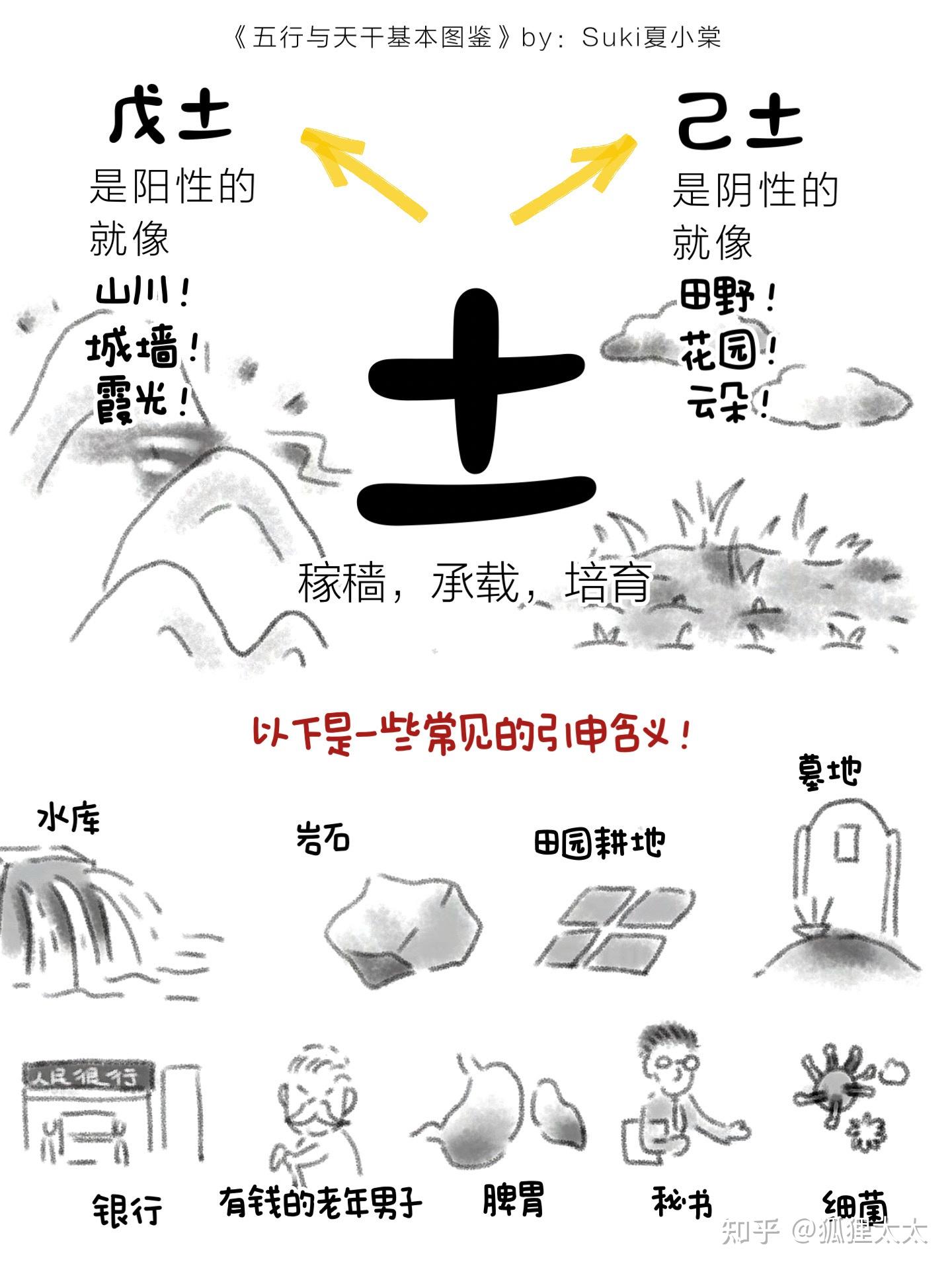 有趣的玄学图鉴|戊土的先天喜忌 - 知乎