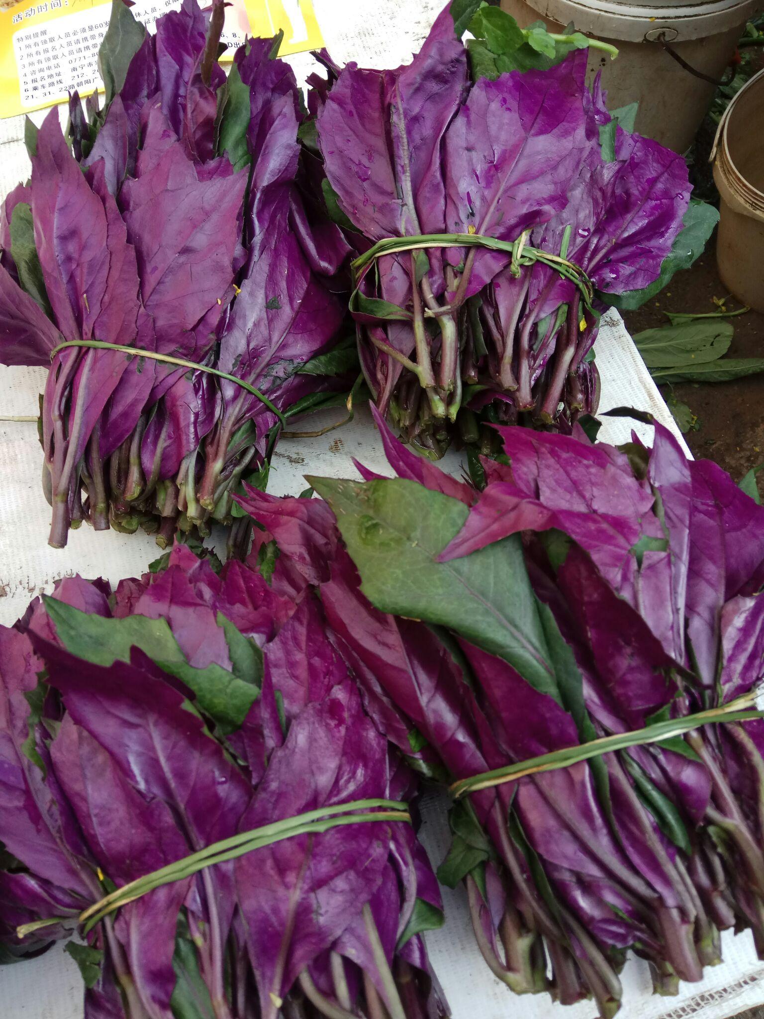 鱼腥草和红贝菜,总觉得逛菜场都不瞄一瞄菜有点不好意思16花蟹,我不