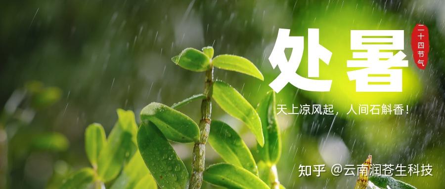 处暑后：古人用这三候预判秋凉，今人靠它润养整个秋天！ - 知乎