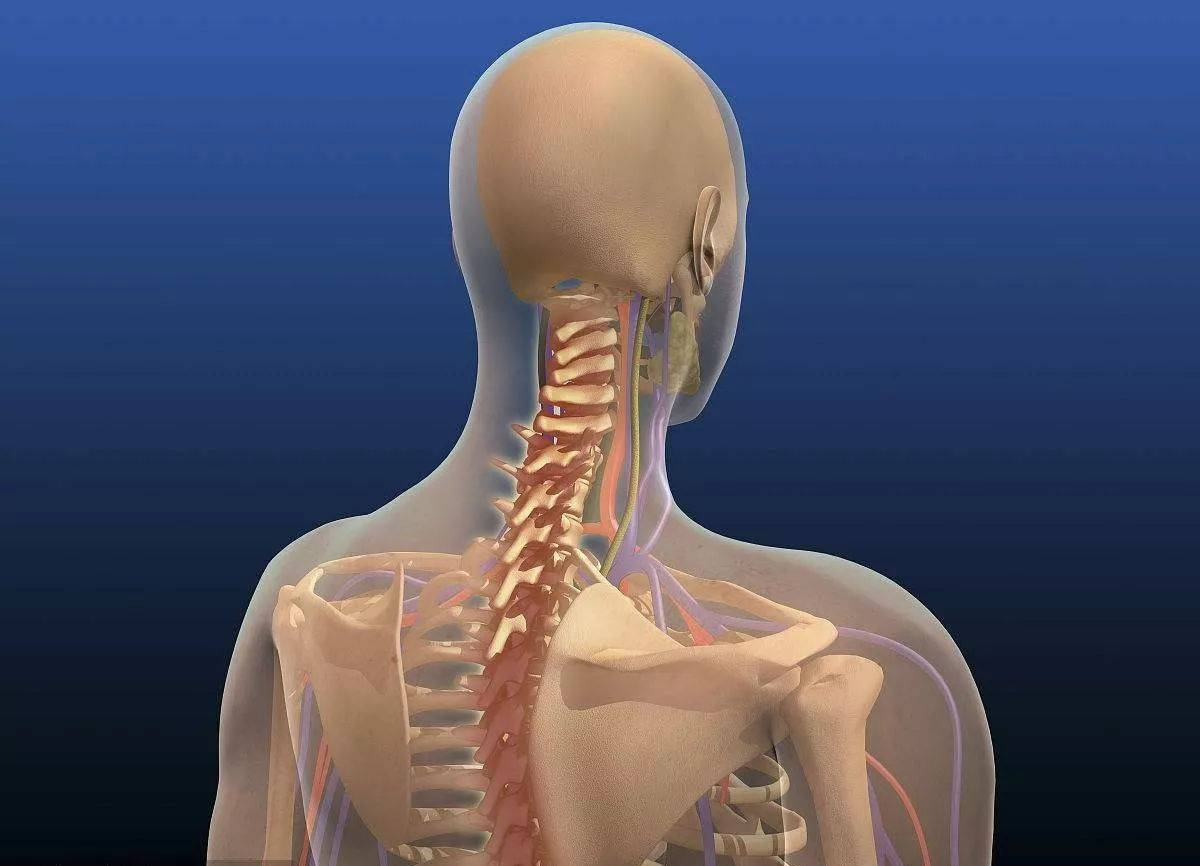 冈上肌肌腱炎7步运动治疗思路