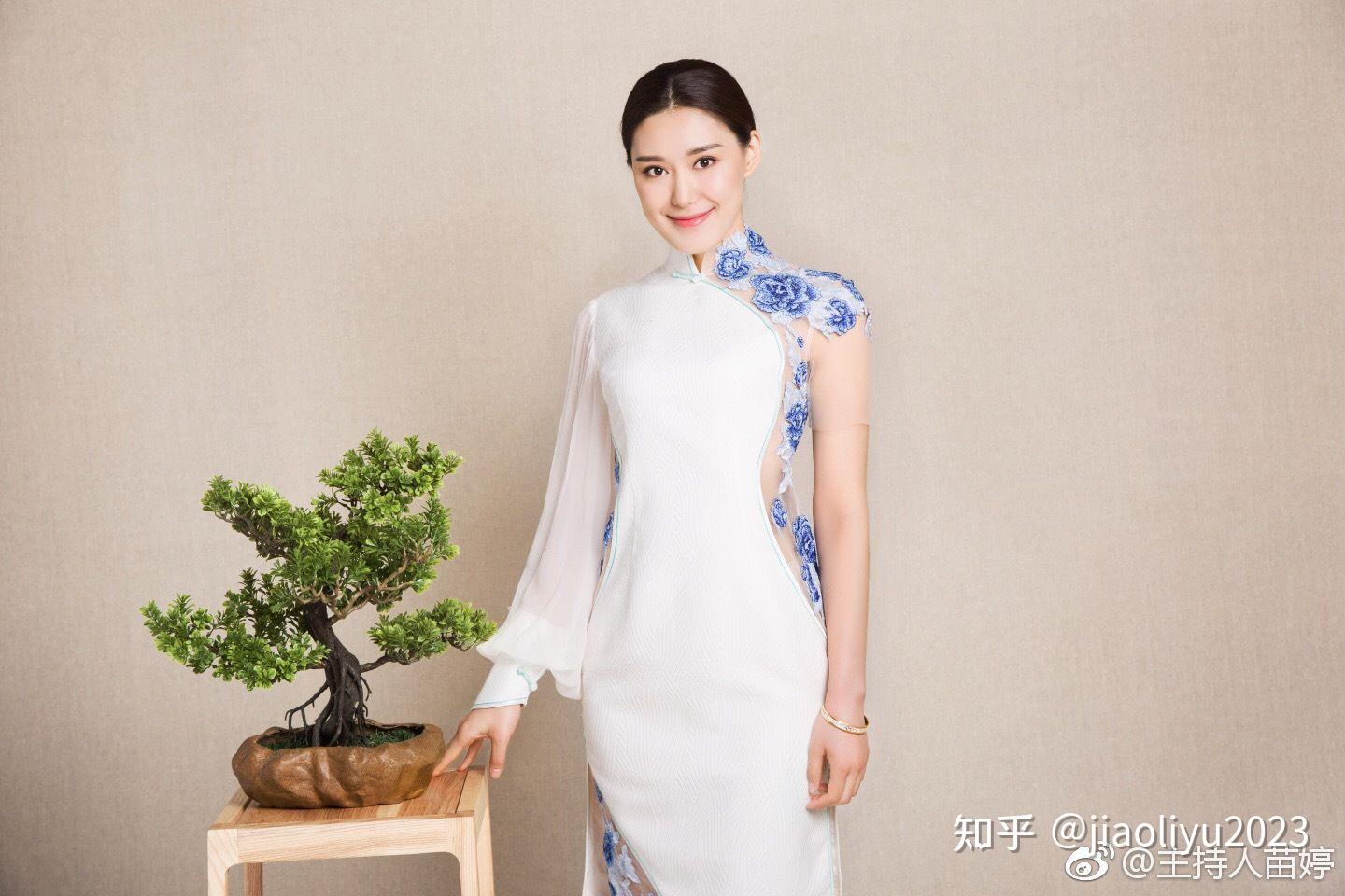 戒律团2024年度黑龙江电视台和河南电视台女明星主持人排名央视风云