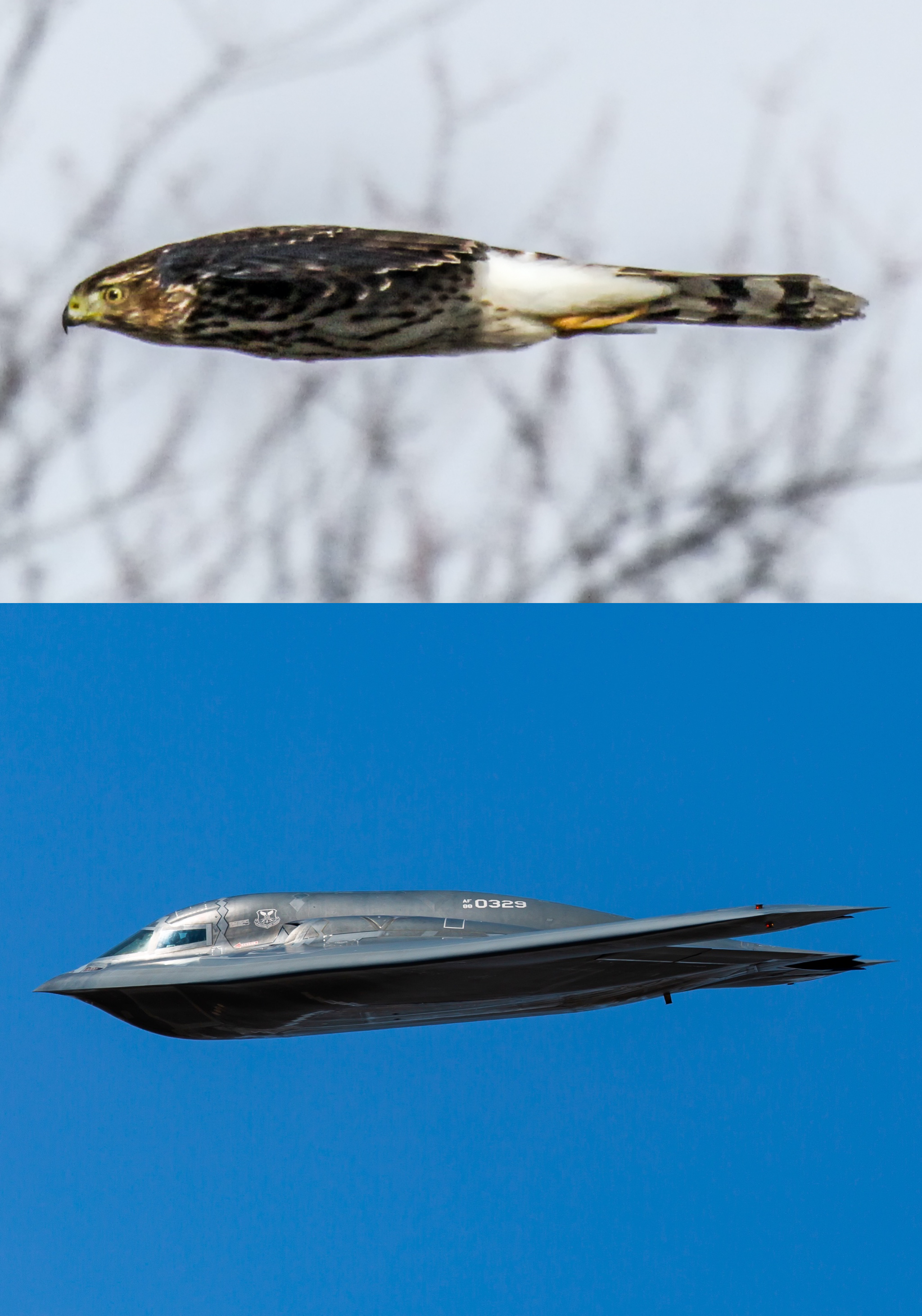 为什么感觉b2轰炸机这么帅