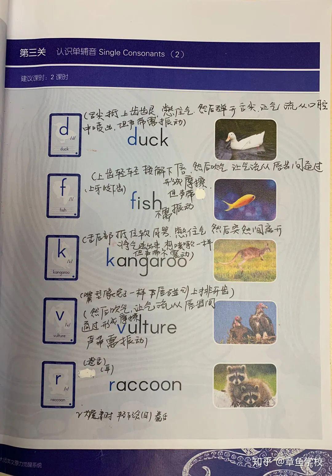不惑之年的甜甜圈英文零基础的我说起纯正美音