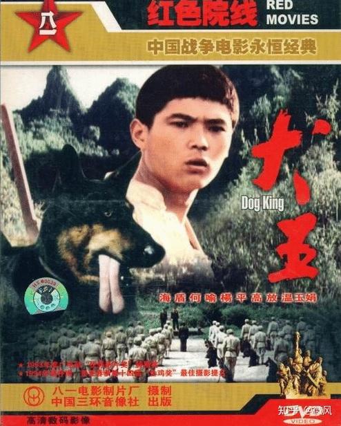 功勋军犬为拍戏被故意炸死士兵哭到吐血导演高呼好太好了