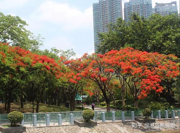 【活在香港 记录香港】香港屯门的前世今生及旅游景点攻略 - 知乎