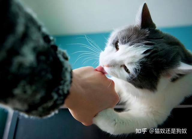 zhuanlan.zhihu.com