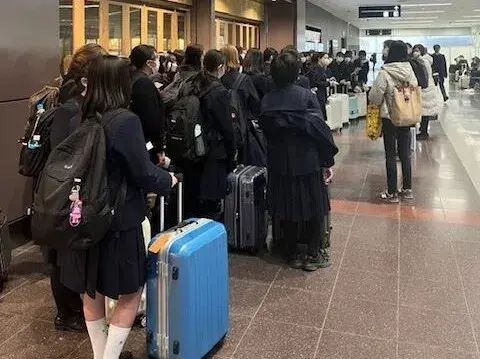 请输入图片描述