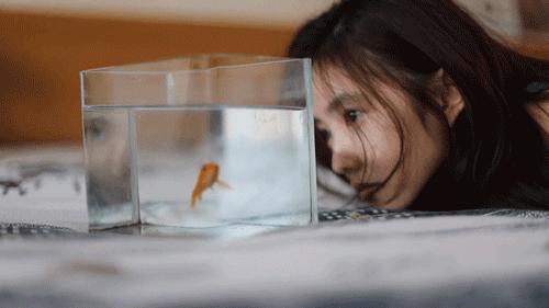 大家怎么评价刘浩存 v2-d3cc2a28f098d5da0916440758e5cee9_r.jpg