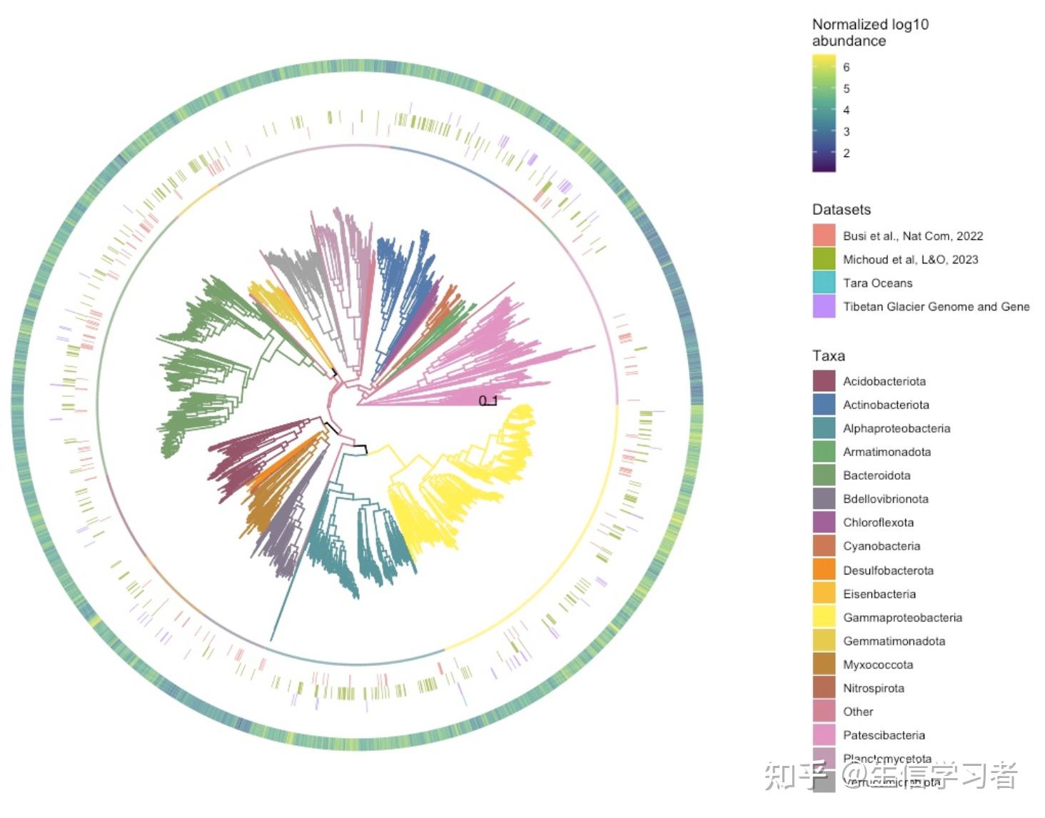 科研绘图系列：R语言绘制微生物物种系统发育树（phylogenetic tree - 知乎