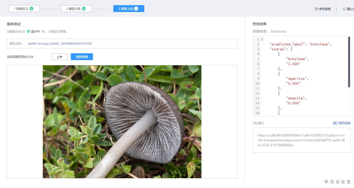 手把手教你使用ModelArts的自动学习识别毒蘑菇分类 手把手教你使用ModelArts的自动学习识别毒蘑菇分类