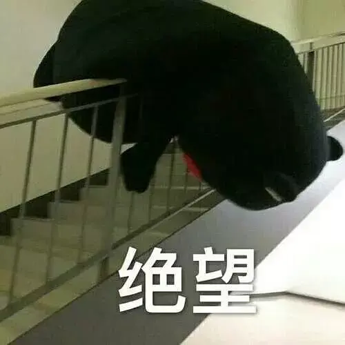 那些支撑我活下去的表情包 - 知乎