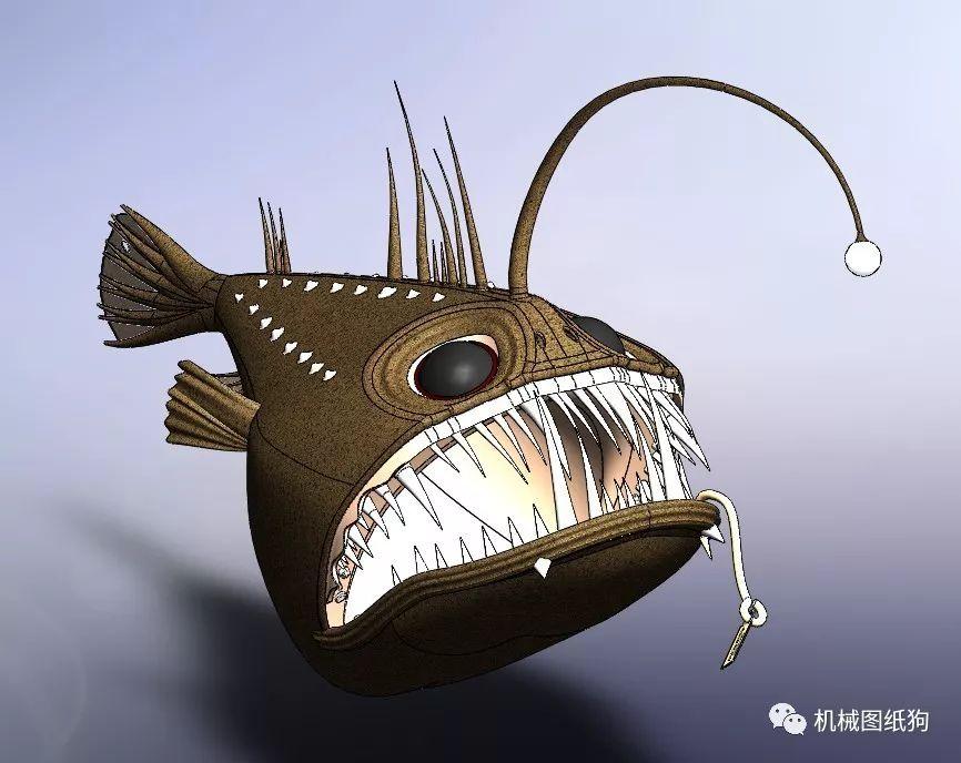 灯笼鱼真实图 v2-d3fcbf9870f3e417420e951463d78fd5_1200x500.jpg