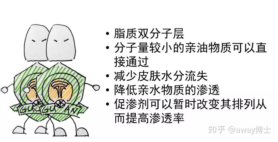 v2-d3fead4f010460ec206629a11db620c1_r.jpg