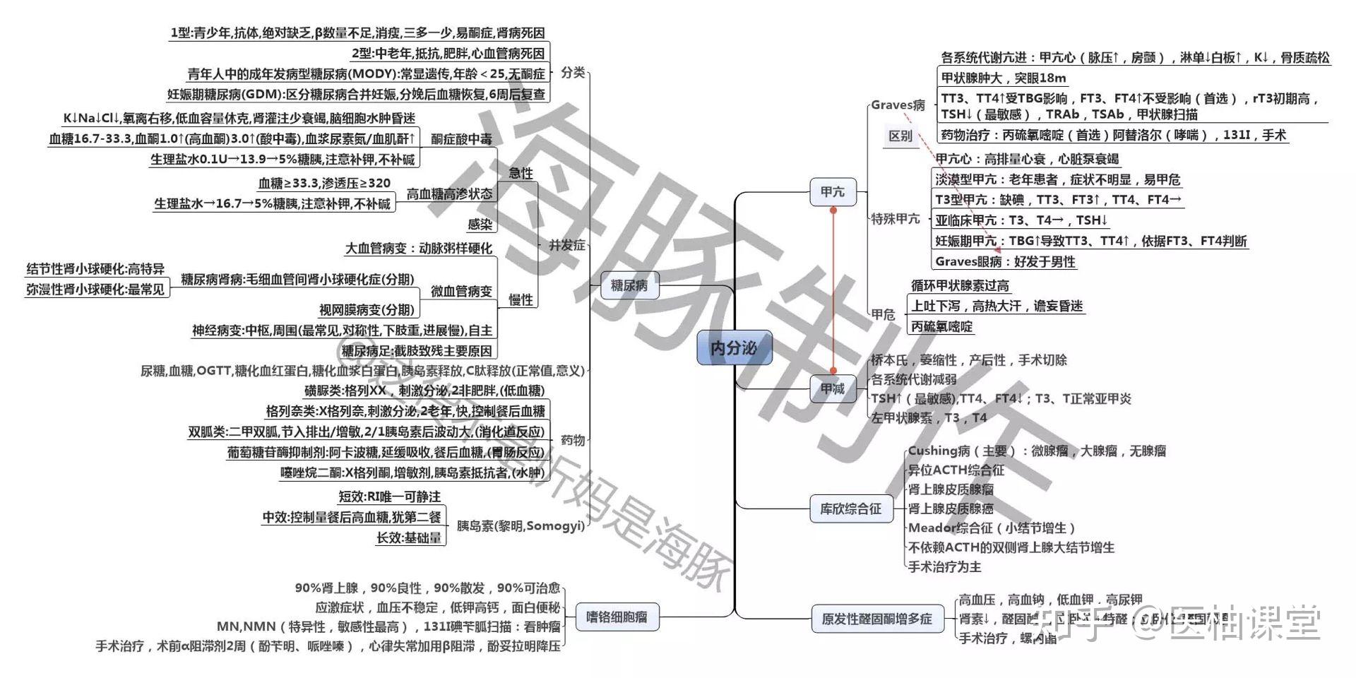 内科思维导图pdf图片