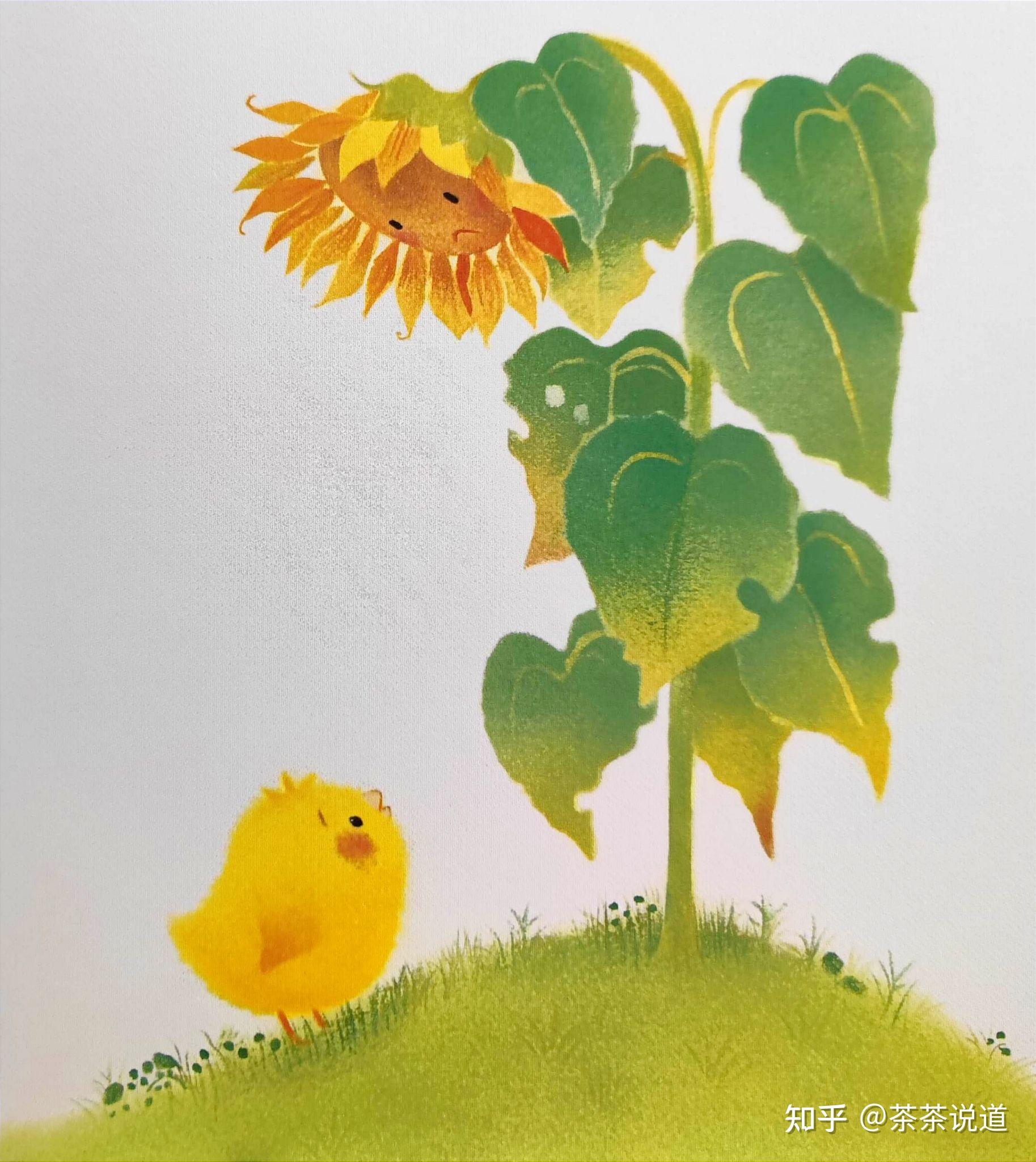 生命教育:《小鸡球球和向日葵》