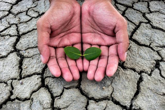 压垮年轻人理想的最后一根稻草