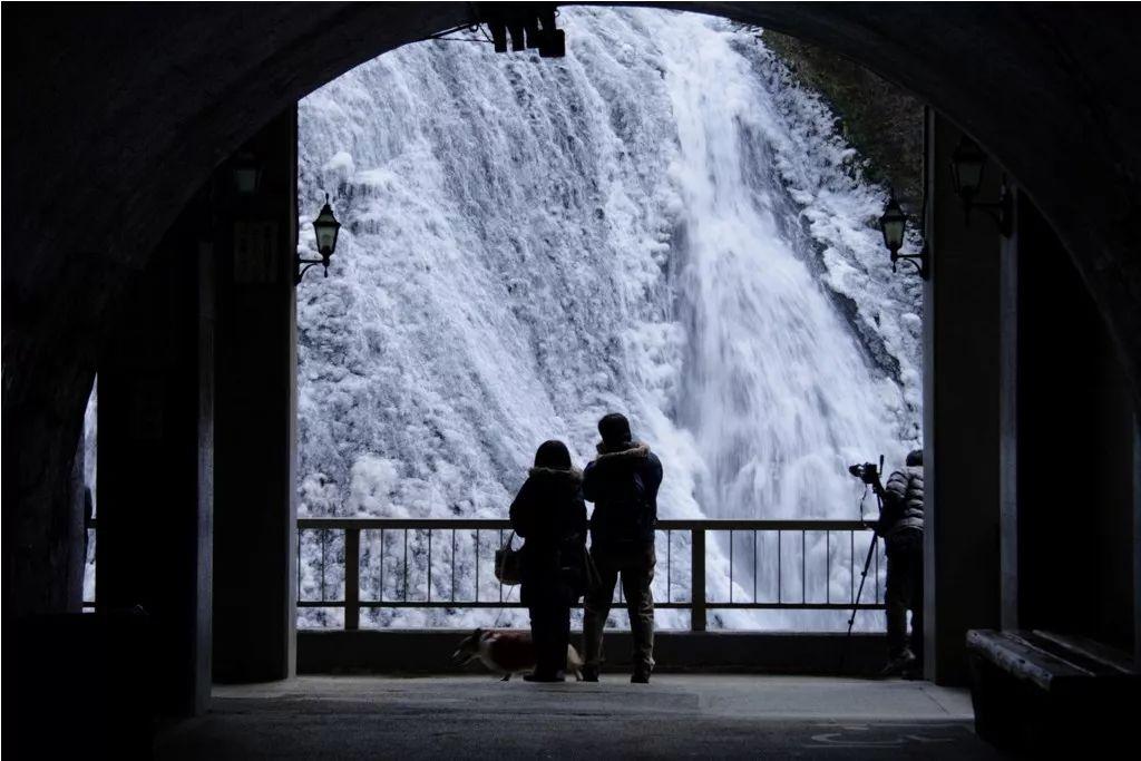 冬季去日本旅游有什么好的建议吗?