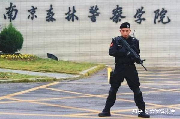 南京森林警察学院招生_南京警察森林学院招生简章_南京森林警察学院2024招生计划