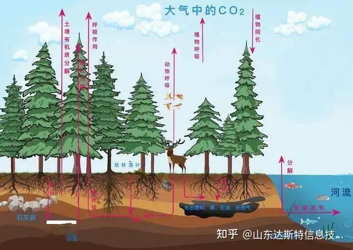 碳汇原理以及监测和评估方法 - 知乎