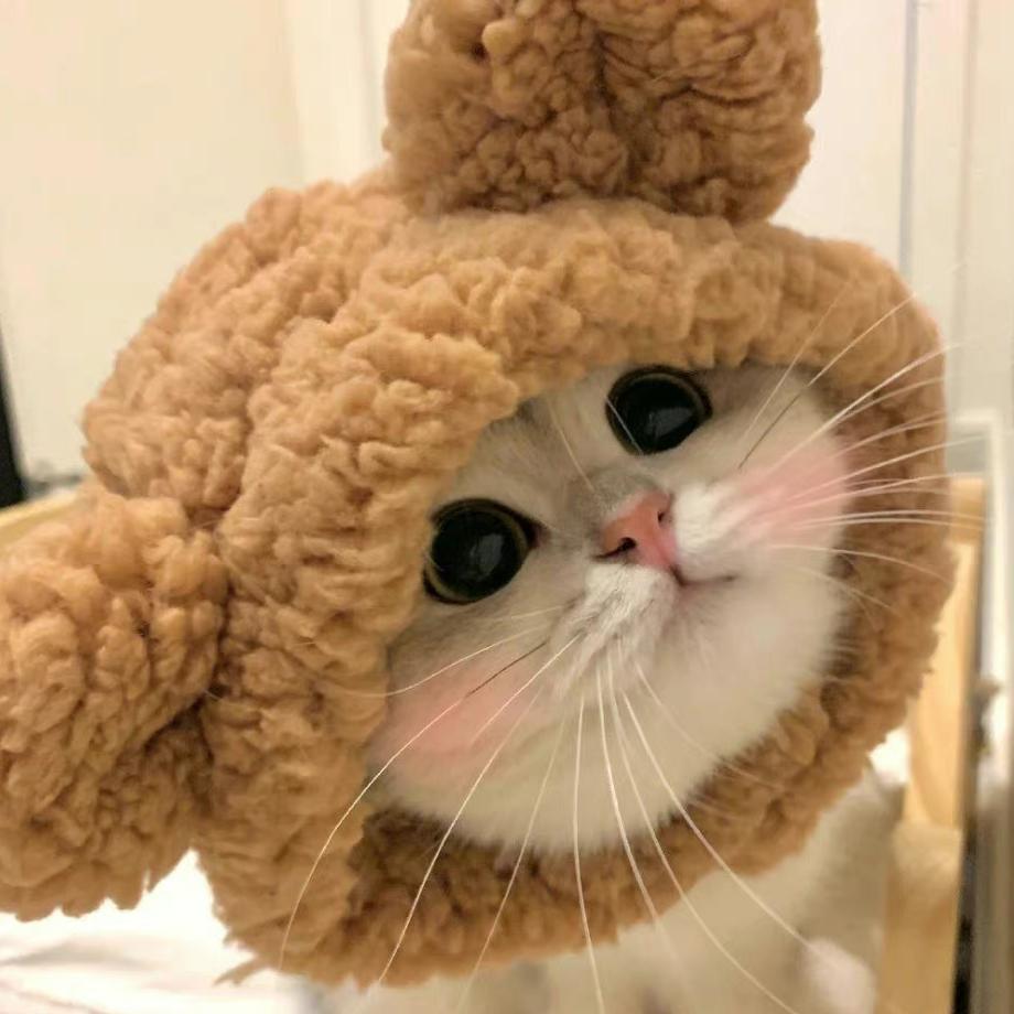 你的益达