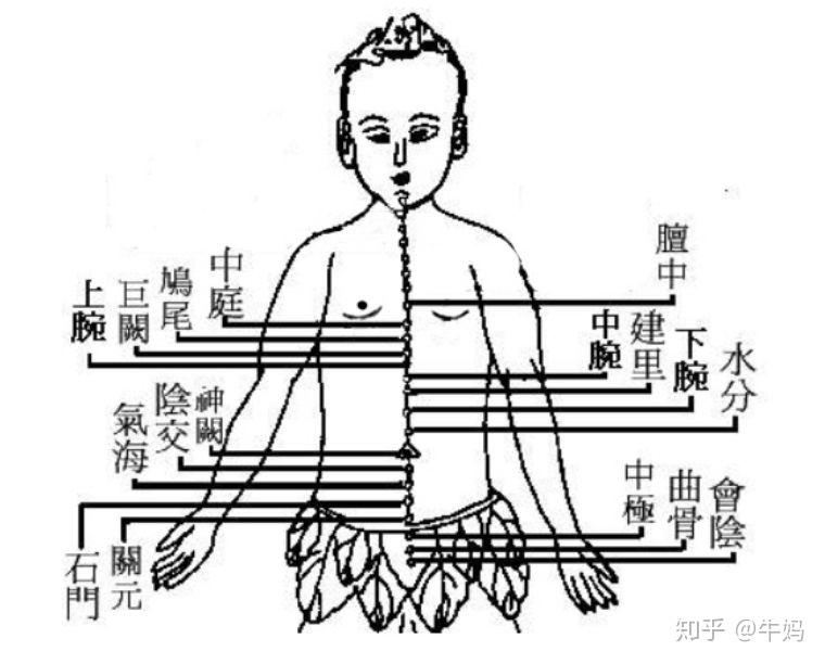 内中 zhuanlan.zhihu.com