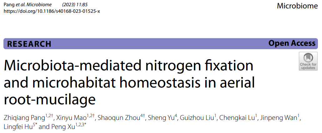 Microbiome | 中科院/农科院/浙大解析微生物介导的植物气生根黏液固氮功能及稳态维持机制 - 知乎