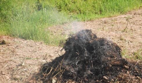 为了健康,请换用初色稻壳砧板!