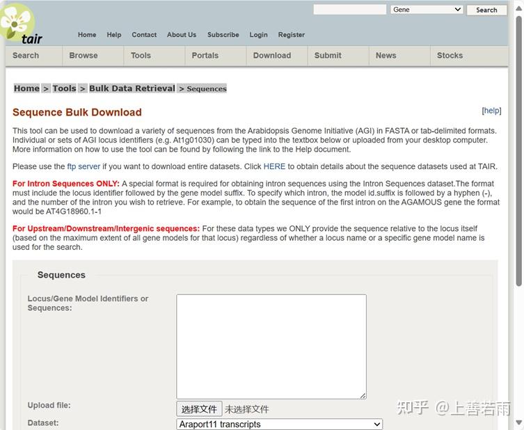 Tair Format File TAIR批量下载基因家族 - 知乎