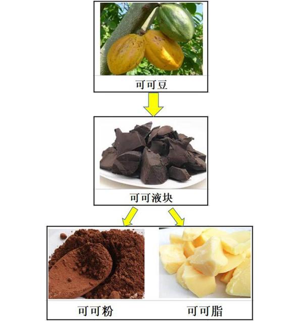 可可粉,可可液块,可可脂有何区别?巧克力中有这三样东西吗?