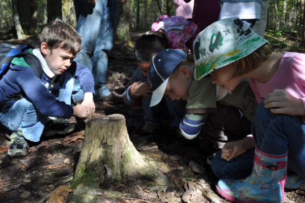 由于德国的联邦制度新联邦州保留了社会主义时期的幼儿园结构.