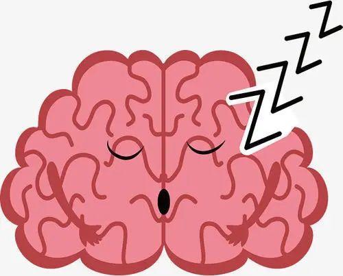每晚睡觉时大脑都在清理毒素长期熬夜不睡觉则会变傻