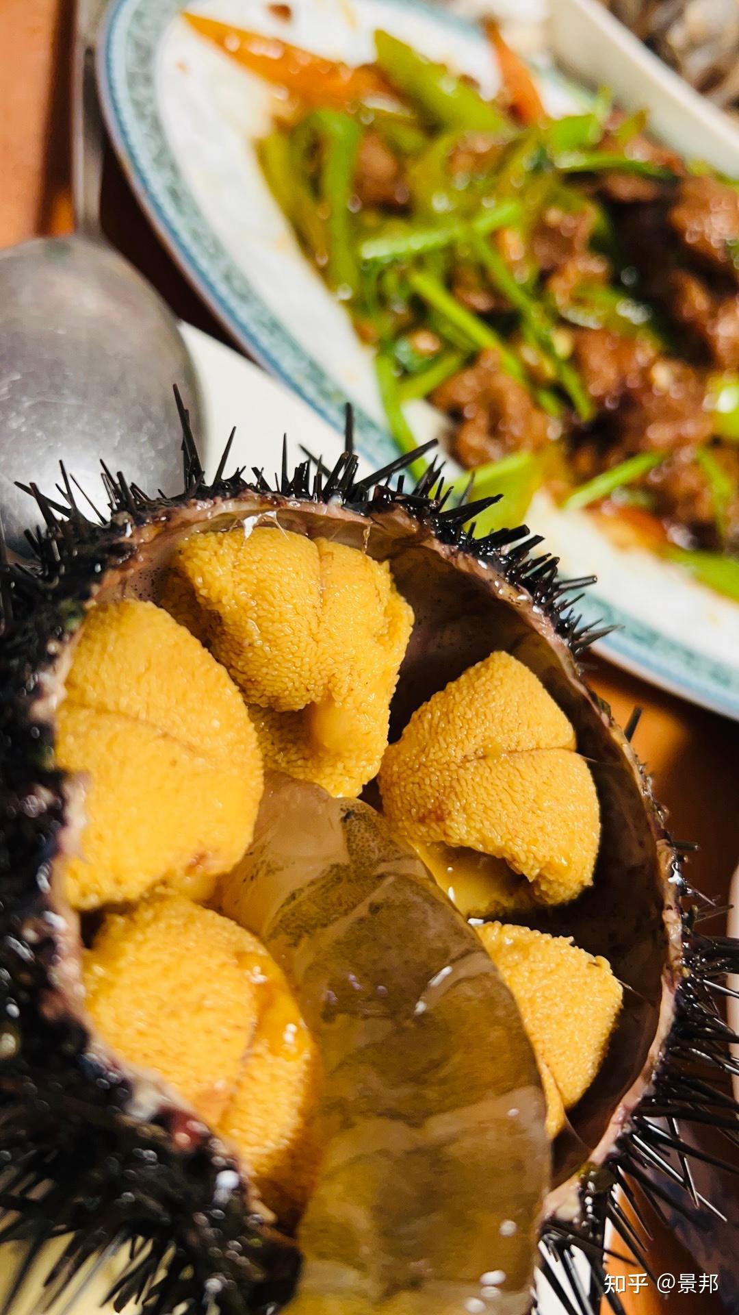 大连海胆季到了,海胆最肥美的季节