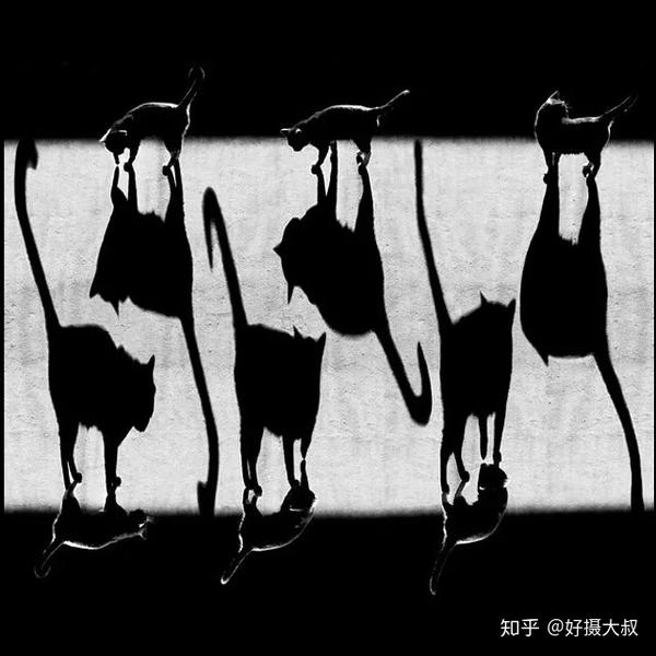 拍影子很无趣?那是你不会拍! - 知乎