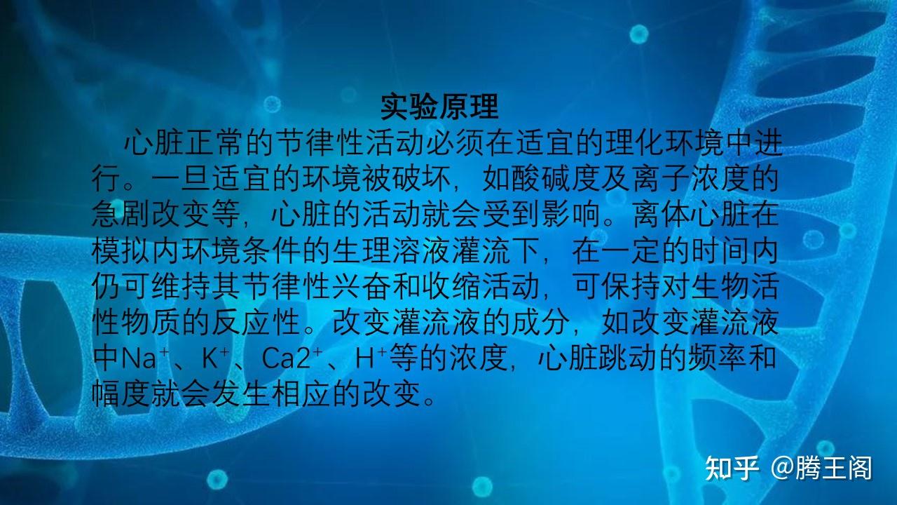 机能学实验系列离体蛙心灌流