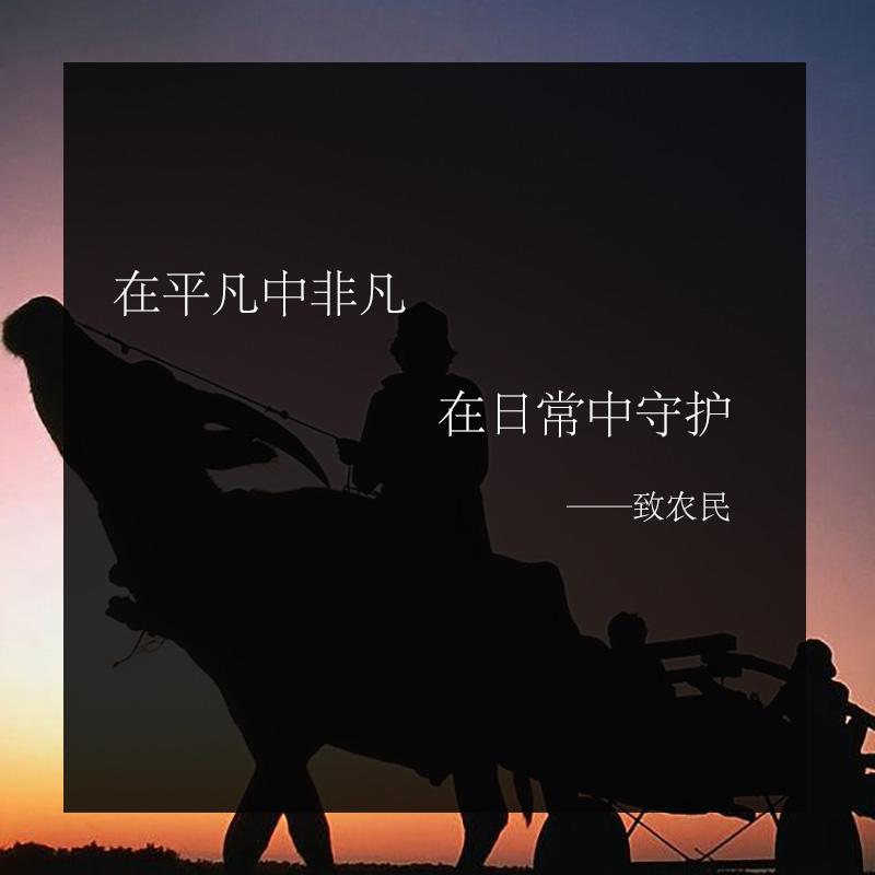 你在辛勤付出我来默默守护