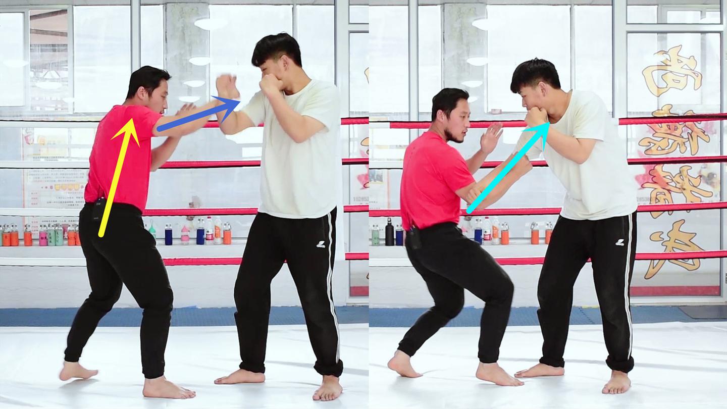 内家拳孙禄堂三体式传统武术俯仰两种状态窍要